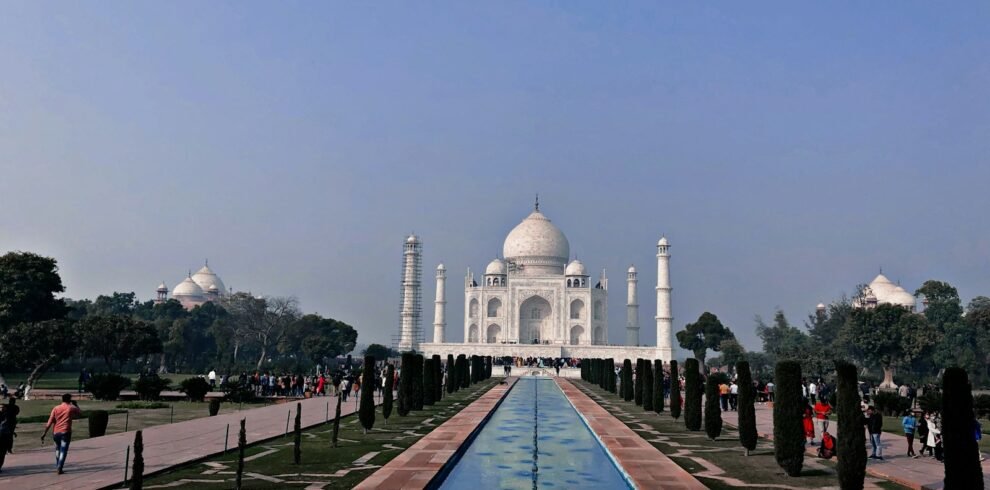 people walking on park during daytime