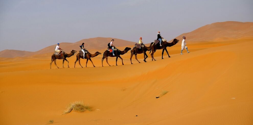 landscape photo of people riding camel